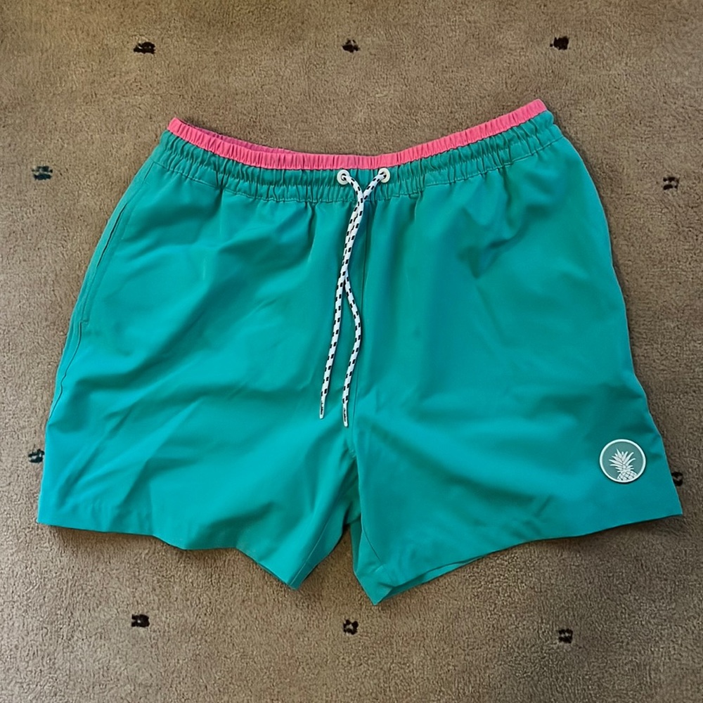 Chubbies boardshorts